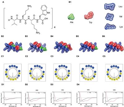 The Trp-rich Antimicrobial Amphiphiles With Intramolecular Aromatic Interactions for the Treatment of Bacterial Infection